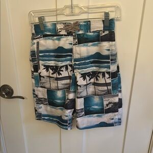Body Glove Blue & White Swim Trunks with Palm Tree Graphic Print, size Boys M 10